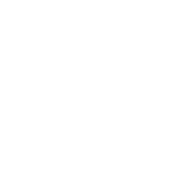 Established 20 years